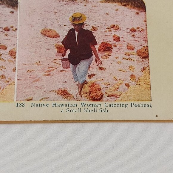 ANTIQUE STEREOGRAPH Card DOUBLE SIDED Bamboo as it Grows, Manilla/Peeheai COLOUR - Picture 4 of 5